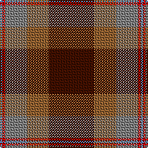 B/4 R4 N36 LT36 DR/72 tartan Tartan detail