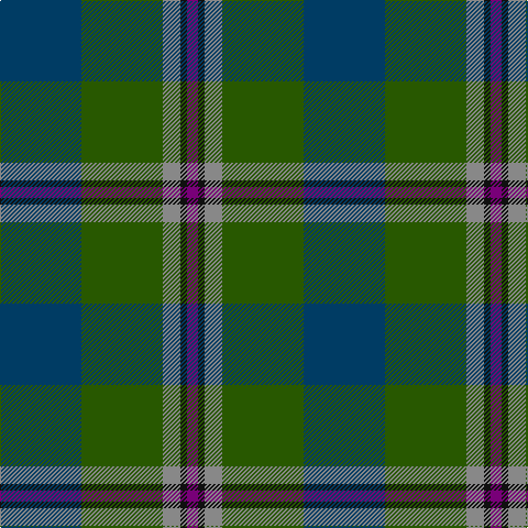 DB/74 G74 N16 K6 P/10 tartan Tartan detail
