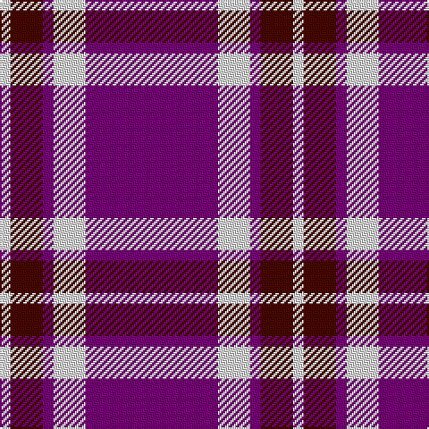 LN/6 DR18 P6 LN18 P/74 tartan Tartan detail