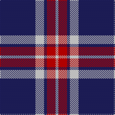 DB/74 LN18 DB6 R18 LN/6 tartan Tartan detail