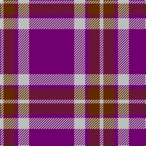 LN/6 T18 P6 LN18 P/74 tartan Tartan detail