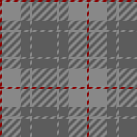 DR/8 Na64 N32 Na8 N/88 tartan Tartan detail