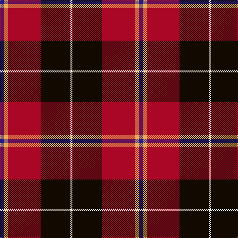 DB/8 O8 DR66 K60 W/4 tartan Tartan detail