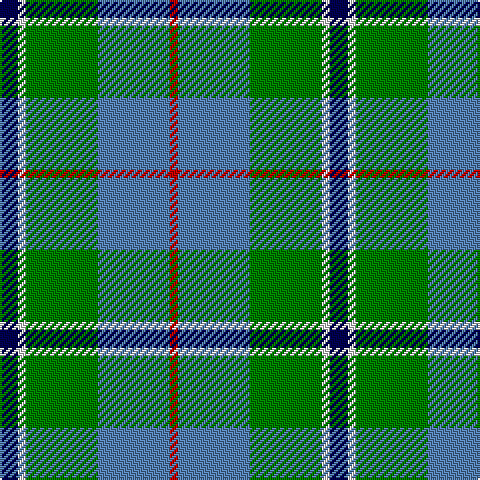 DB/9 LN4 G36 B36 R/4 tartan Tartan detail