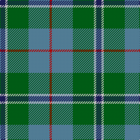 DB/9 LN4 G36 B36 R/4 tartan Tartan detail