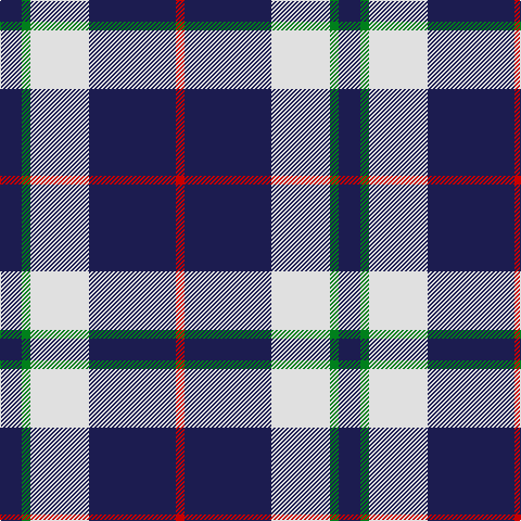 DB/20 G8 LN54 DB80 R/8 tartan Tartan detail