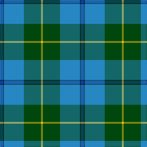Ba/10 K3 B65 DG56 Y/6 tartan Tartan detail