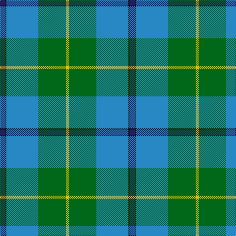 DB/10 K3 B65 G56 Y/6 tartan Tartan detail