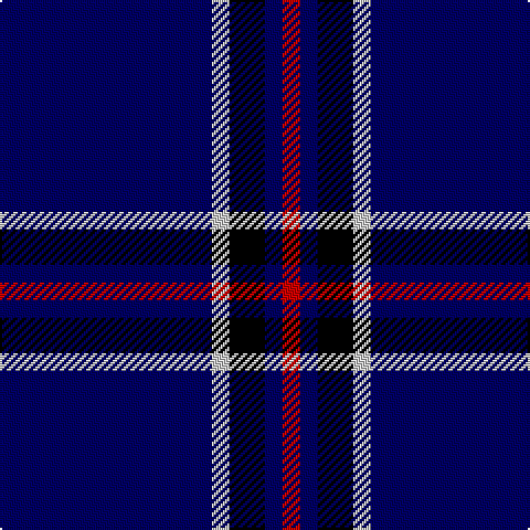 DB/96 N8 K16 DB8 R/8 tartan Tartan detail