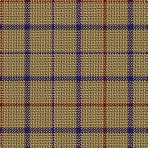 DR/4 LT36 DB8 LT36 DB/4 tartan Tartan detail