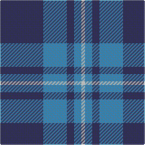 DB/48 B26 DB8 B8 LN/4 tartan Tartan detail