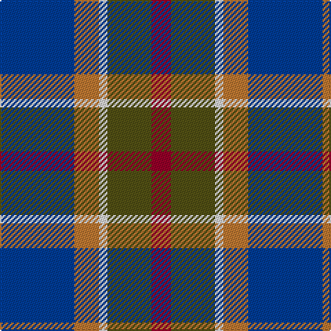 B/54 DO18 LN6 T32 DR/14 tartan Tartan detail