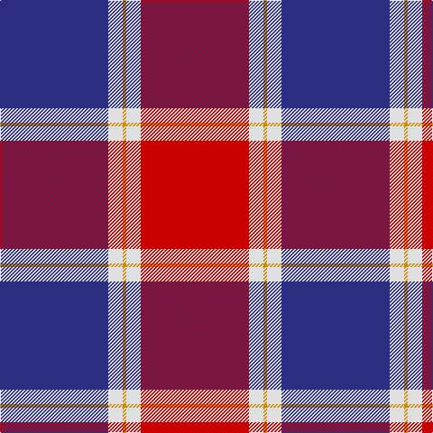 DB/120 LN16 DY4 LN16 R/120 tartan Tartan detail