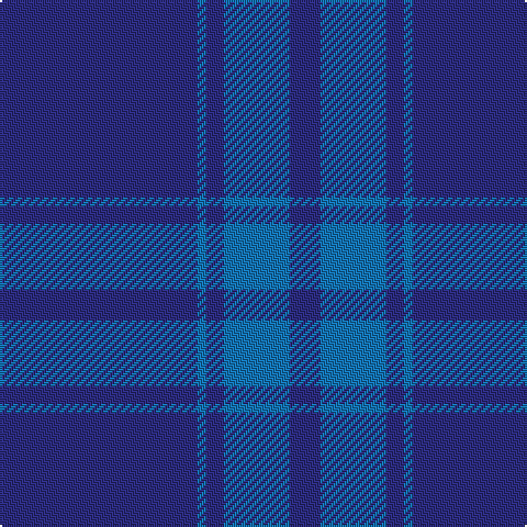 DB/90 B4 DB8 B30 DB/14 tartan Tartan detail