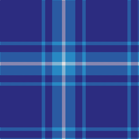 DB/144 B12 DB24 B34 LN/12 tartan Tartan detail