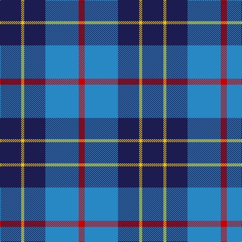 DB/42 Y6 DB42 B66 R/12 tartan Tartan detail