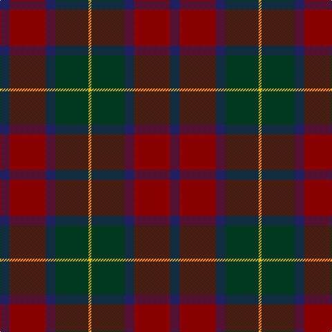 DB/14 DR52 DB14 DG48 Y/4 tartan Tartan detail