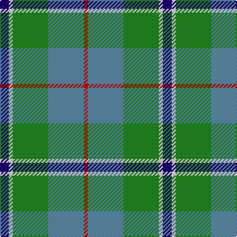 DB/9 LN4 G36 B36 R/4 tartan Tartan detail