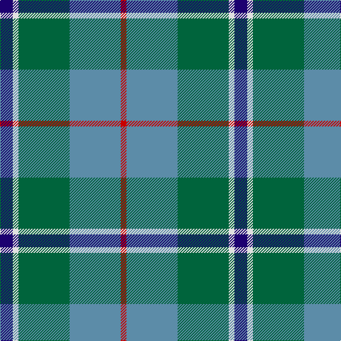 DB/18 LN8 G72 B72 R/8 tartan Tartan detail