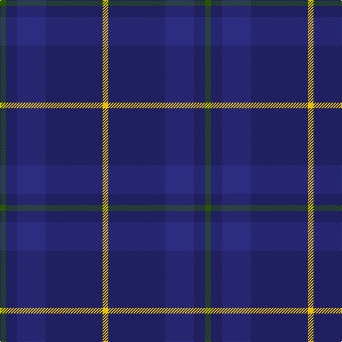 G/8 DB16 DBa40 DB80 Y/8 tartan Tartan detail