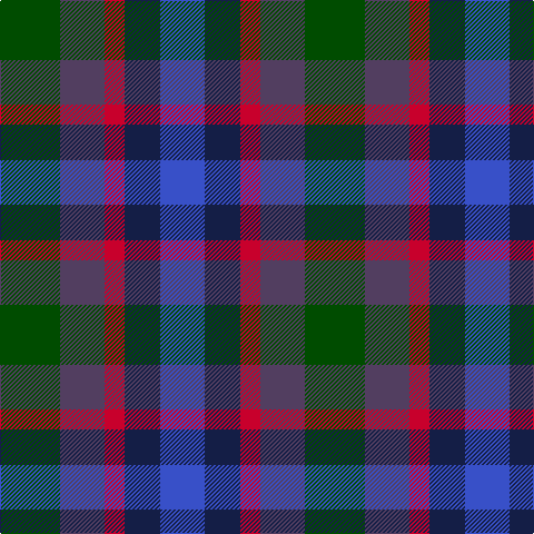B/40 DB32 R18 N40 G/54 tartan Tartan detail