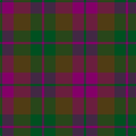 G/8 P40 T60 G40 P/8 tartan Tartan detail