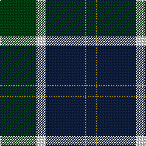 DG/60 LN16 DB64 Y2 DB/16 tartan Tartan detail