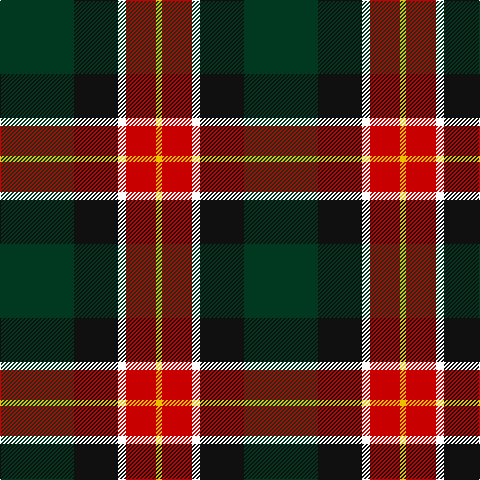 DG/74 K44 W8 R30 Y/6 tartan Tartan detail