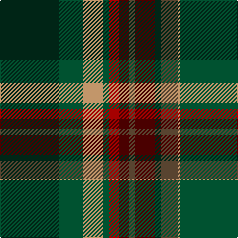 DG/84 LT20 DG6 DR20 LT/6 tartan Tartan detail