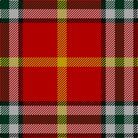 DG/16 N16 K8 R60 Y/16 tartan Tartan detail