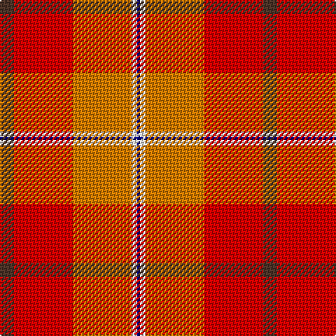 T/10 R42 O42 W4 DB/2 tartan Tartan detail