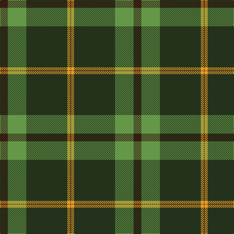 Ka/16 LG38 K84 Y6 R/2 tartan Tartan detail