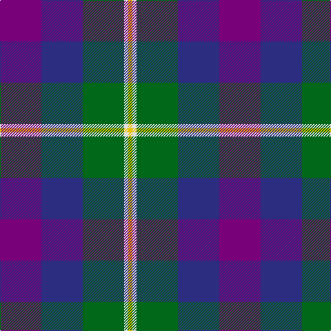 P/60 DB60 G60 LN6 Y/6 tartan Tartan detail