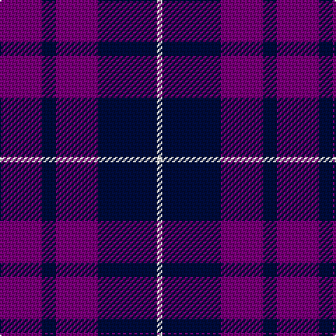LN/4 DB42 P30 DB10 P/30 tartan Tartan detail