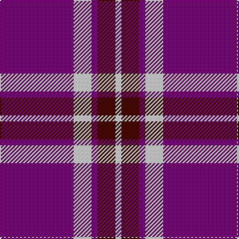 LN/6 DR18 P6 LN18 P/74 tartan Tartan detail