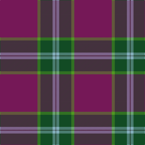 DR/124 G10 Ga40 B10 K/2 tartan Tartan detail