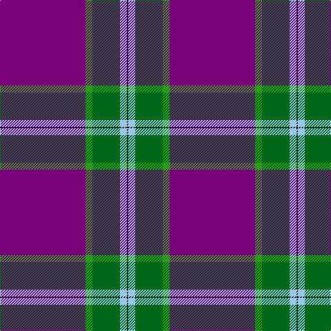 P/124 Ga10 G40 LB10 K/2 tartan Tartan detail