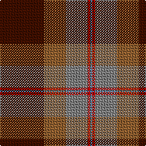 DR/72 LT36 N36 R4 B/4 tartan Tartan detail