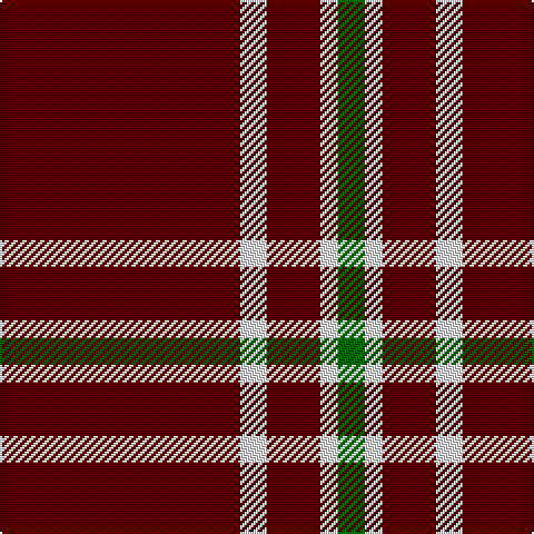 DR/108 W12 DR24 W8 G/12 tartan Tartan detail