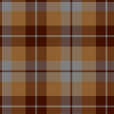 DR/8 N40 LT60 DR40 N/8 tartan Tartan detail