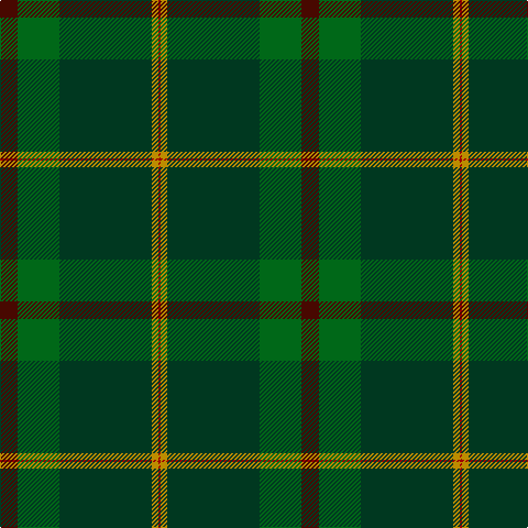 DR/2 DY6 DG84 G38 DRa/16 tartan Tartan detail