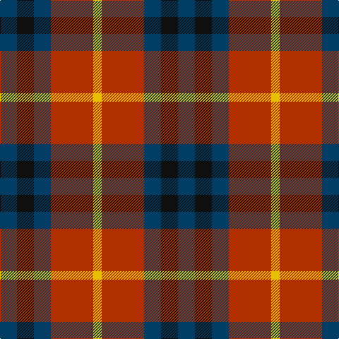 DB/24 K24 DB24 R60 Y/12 tartan Tartan detail