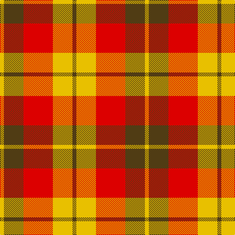 Y/8 T40 R60 Y40 T/8 tartan Tartan detail