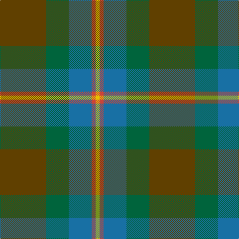T/92 G46 B46 R8 Y/8 tartan Tartan detail