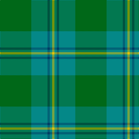 G/108 B56 DB8 B8 Y/8 tartan Tartan detail