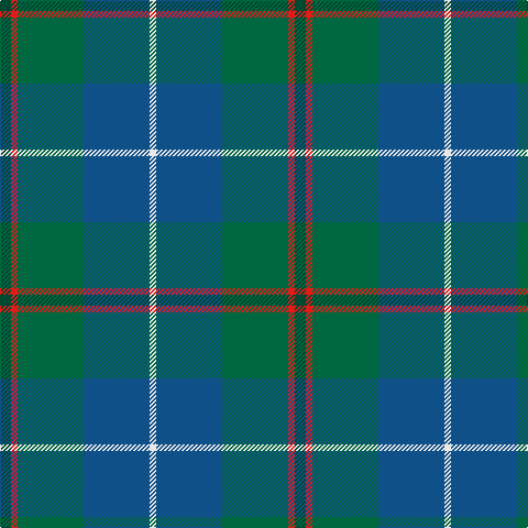 DG/10 R6 G60 B60 LN/6 tartan Tartan detail