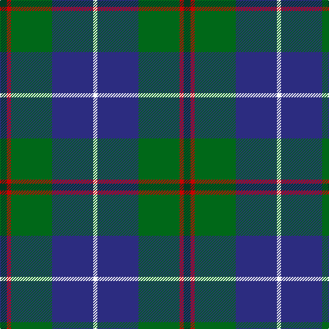 DG/10 R6 G60 DB60 W/6 tartan Tartan detail