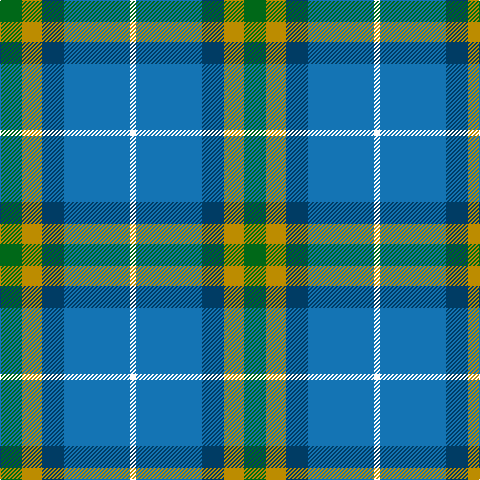 G/22 DY20 DB22 B66 W/6 tartan Tartan detail