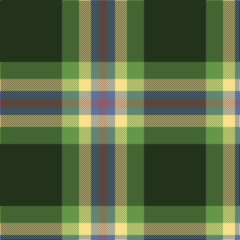 K/124 LG34 LY24 B16 LT/16 tartan Tartan detail