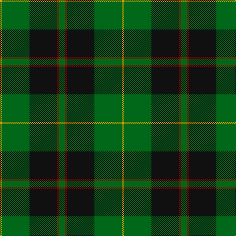 DY/4 G56 K56 DR4 G/12 tartan Tartan detail